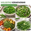 Buschbohnen Saxa Samen - Phaseolus vulgaris  - Bohnensamen Produktbild-Vorschau 9