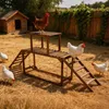 WISFOR Kippenren, klimrek, kippenhok, kippenladder, Productafbeelding-voorbeeld 9