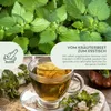 Brennnesselsamen - Heilkräuter Saatgut aus biologischem Produktbild-Vorschau 3