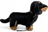 Carl Dick Teckel debout noir avec laisse env. 30cm de long, Voir les images du produit 3
