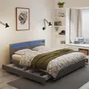 HOME DELUXE - LED Bett NUBE - Dunkelgrau, 270 x 200 cm - Produktbild-Vorschau 3