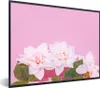 MuchoWow® Gerahmtes Poster Blüte - Sommer - Rosa 80x60 cm - Produktbild-Vorschau 1