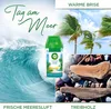 Air Wick Freshmatic Max Raumspray – Nachfüller für den Air Produktbild-Vorschau 3