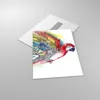Bilder auf glas - Einteilig - Parrot Flügel Federn Natur - Produktbild-Vorschau 2