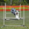 A dog is jumping over an agility hurdle in an outdoor setting. Produktbild-Vorschau