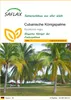 SAFLAX - Cubanische Königspalme - Roystonia regia - 8 Samen Produktbild-Vorschau 1