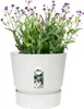 elho greenville Blumentopf rund weiss 18cm mit integriertem Produktbild-Vorschau 2