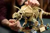 Fósiles de dinosaurio: Triceratops Vista previa de la imagen del producto 25