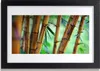 Bild 30x20 MDF-Rahmen Wandkunst Natur Bambuspflanze Produktbild-Vorschau 1
