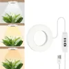 LED Pflanzenlampe Vollspektrum 3 Lichtmodi Dimmbar Produktbild-Vorschau 1