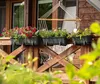Flower pots on a wooden balcony railing with greenery in the foreground. Podgląd zdjęcia produktu