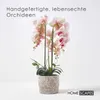 HOMESCAPES Umělá růžovo-bílá orchidej Phalaenopsis ve Náhled obrázku produktu 2