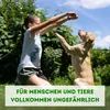 Raubmilben gegen Spinnmilben bei Gemüse-, Zier- & Produktbild-Vorschau 8