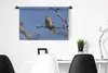 MuchoWow® Wandteppich Wandbehang Ein Zilpzalp sitzt auf Produktbild-Vorschau 4