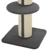 PawHut Katzenbaum Spielbaum Kratzstamm mit Plattform Sisal Produktbild-Vorschau 9