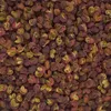 Pieprz syczuański ziarno 100g Podgląd zdjęcia produktu 3