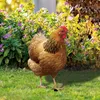 Paletto per galline, simulazione 3D, acrilico, stabile, Anteprima dell’immagine prodotto 4
