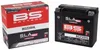 BATTERIA SLA Batteria esente da manutenzione attivata in Anteprima dell’immagine prodotto 2