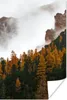 MuchoWow® Poster Kiefer - Herbst - Berg - Landschaft Produktbild-Vorschau 1