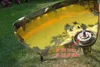 2 X 200mm Unkrautbürste für Einhell Scheppach Hecht Produktbild-Vorschau 3