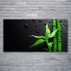 Acrylglasbilder 120x60 Wandbild Druck Bambus Blätter Produktbild-Vorschau 2