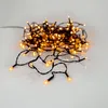 Eglo LED Lichterkette Golden Warm White IP44 innen & außen Produktbild-Vorschau 3