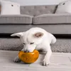 Planet Dog Snoop Orange Voir les images du produit 5
