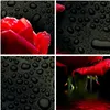 Bilder auf glas - Blume rote rose wasser tau - 40x40cm - Produktbild-Vorschau 8