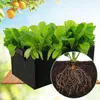 Box Grow Bag 50 Sadzarka tekstylna w zestawie 1 szt Podgląd zdjęcia produktu 3