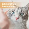 Felisept Wundgel für Katzen 20ml Produktbild-Vorschau 4