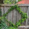 A climbing plant is growing in a diamond shape on a wooden fence in a garden. Podgląd zdjęcia produktu