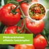Protect Garden Curamat AZ Universal-Pilzfrei 1 L Produktbild-Vorschau 11