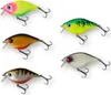 Madcat Tight-S Shallow 12cm 65g - Wobbler, Produktbild-Vorschau 1