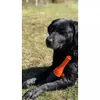 Dog Comets Hundespielzeug Bobber rosa Produktbild-Vorschau 6