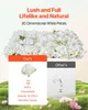set di 24 siepi artificiali Muro vegetale artificiale Anteprima dell’immagine prodotto 2