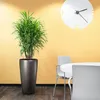 A large potted plant sits next to a round table with chairs in a room with yellow walls and a wooden floor. Produktbild-Vorschau