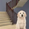 A golden retriever puppy sits on the floor in front of a staircase with a wooden railing. Náhľad obrázku produktu