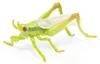 Papo SAS, figuur van 4 cm, sprinkhaan, vanaf 3 jaar Productafbeelding-voorbeeld 4