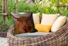 MuchoWow® Outdoor Kissen - Schottisches Hochlandrind - Produktbild-Vorschau 3
