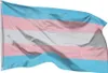 PHENO FLAGS Transgender Pride Flagge LGBT 90 x 150 cm Produktbild-Vorschau 1