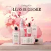 Gel doccia ai fiori di ciliegio L'Occitane Anteprima dell’immagine prodotto 2