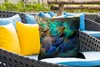 MuchoWow® Outdoor Kissen - Federn - Pfauenfedern - Pfau - Produktbild-Vorschau 4