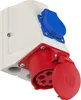 A close-up, studio shot of a white electrical wall socket with blue and red connectors. Anteprima dell’immagine prodotto