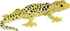 Mojo Wild Life Luipaard Gekko 381077 Anteprima dell’immagine prodotto 2