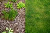 GARDENIX WoodBorder Bordi flessibili per prato in look Anteprima dell’immagine prodotto 4