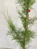 Tamarix tetandra, Tamariske, Höhe 80–100 cm, 2-Liter-Topf Produktbild-Vorschau 2