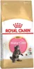 Royal Canin Feline Kitten Maine Coon 36 4kg Anteprima dell’immagine prodotto 1