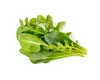 Click & Grow Click & Grow Plant Pod Salad Mix 9pcs Produktbild-Vorschau 4