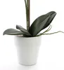 artplants.de Künstliche Orchidee Phalaenopsis Candida, 2 Produktbild-Vorschau 4