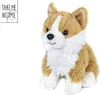Bring mich nach Hause, Corgi-Plüsch, 20 cm Produktbild-Vorschau 2